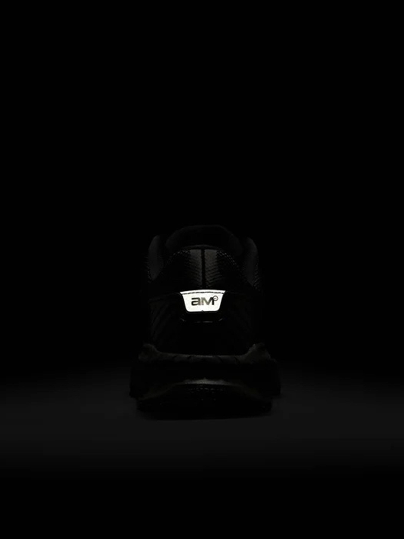 Кроссовки NIKE AIR MAX BIA модель IF2628-001 Фото