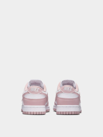 Кеды NIKE DUNK LOW модель IM6572-103 Фото