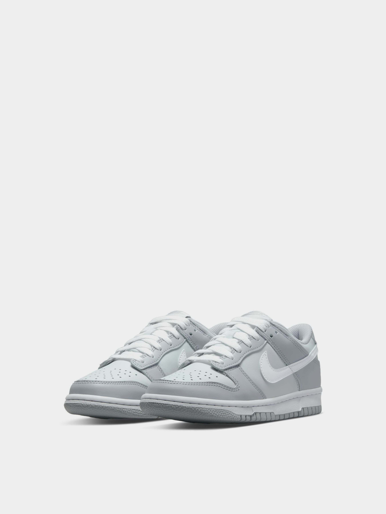 Кеди NIKE DUNK LOW TWO-TONED модель DH9765-001 Фото