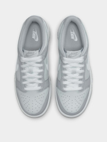 Кеди NIKE DUNK LOW TWO-TONED модель DH9765-001 Фото