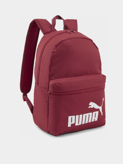 Рюкзаки PUMA PHASE 22L модель 07994335 Фото