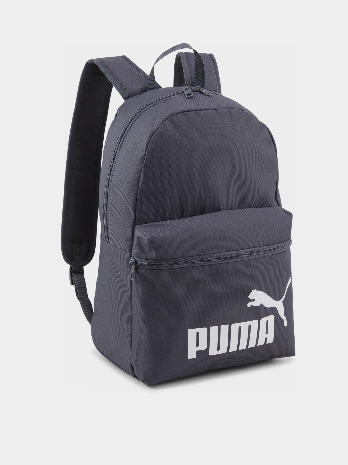 Рюкзаки PUMA PHASE 22L модель 07994337 Фото