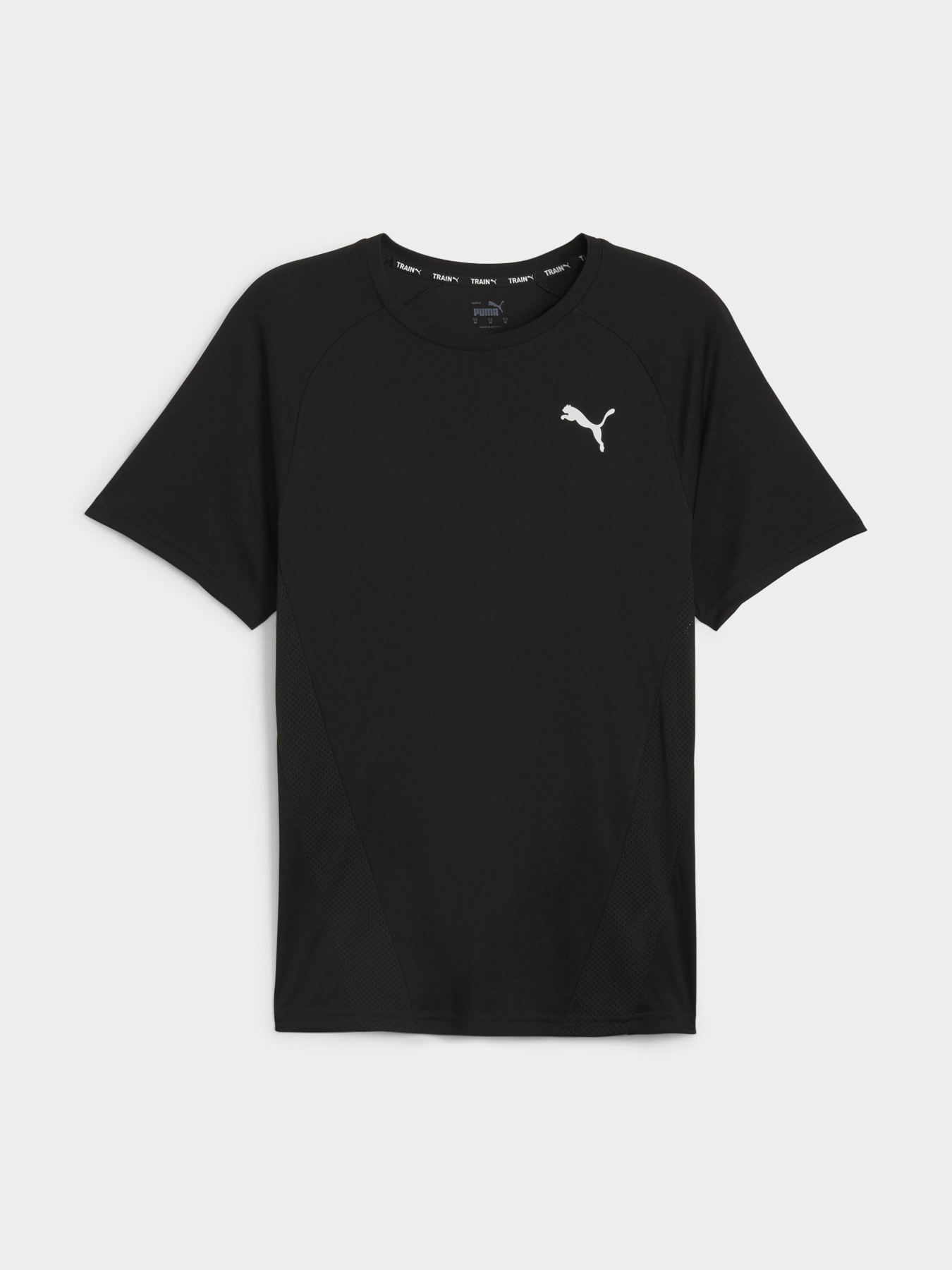 Футболки и поло PUMA TRAIN ALL DAY модель 52491601 Футболки и поло PUMA TRAIN ALL DAY модель 52491601 Фото