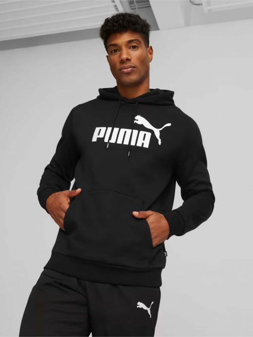 Худі та світшоти PUMA Essentials Big Logo модель 58668601 Фото