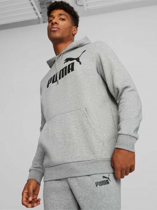 Худі та світшоти PUMA Essentials Big Logo модель 58668603 Фото