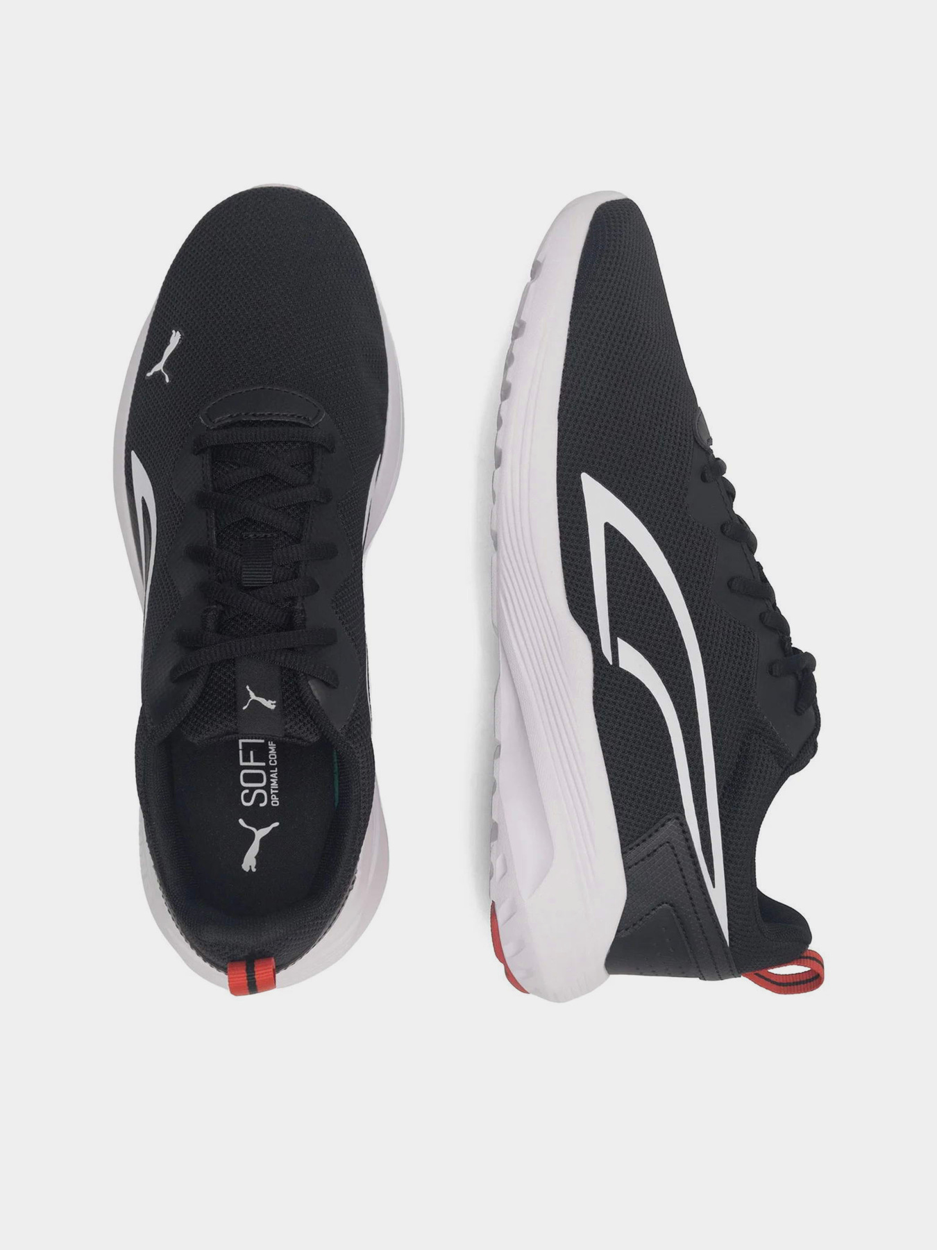 Кроссовки PUMA ALL-DAY ACTIVE модель 38626903 Кроссовки PUMA ALL-DAY ACTIVE модель 38626903 Фото