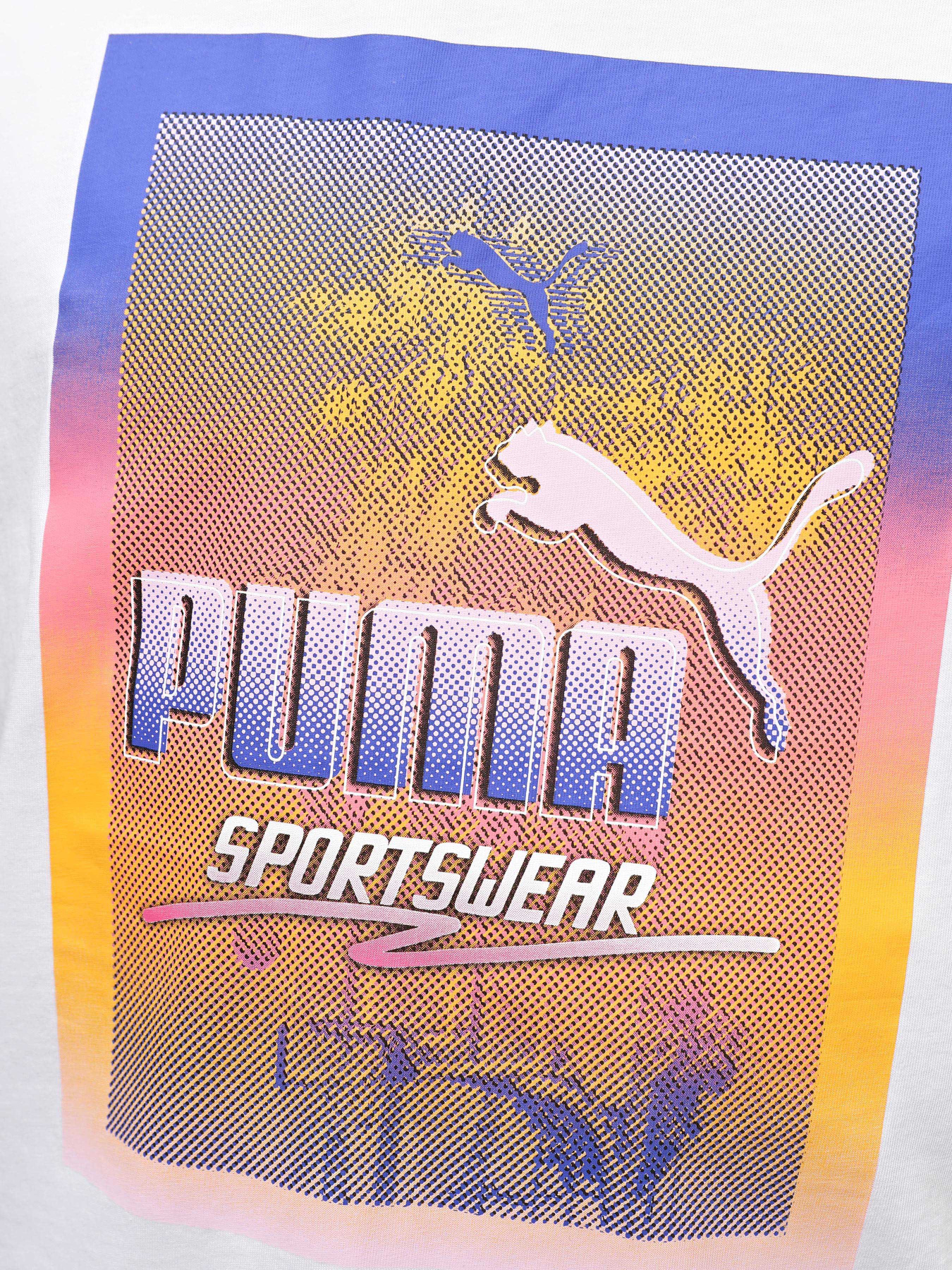 Футболки і поло PUMA GRAPHICS PHOTOPRINT модель 68018002 Фото