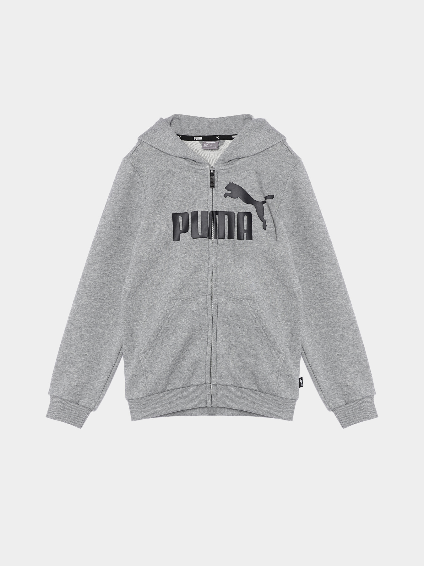Худи и свитшоты PUMA ESS BIG LOGO FZ модель 58696803 Фото