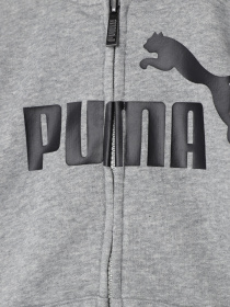 Худи и свитшоты PUMA ESS BIG LOGO FZ модель 58696803 Фото
