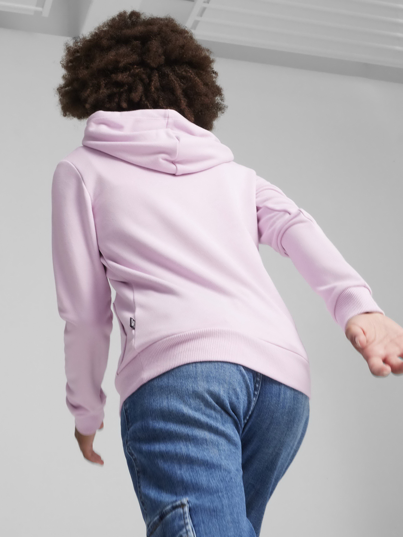 Худі та світшоти PUMA ESSENTIALS LOGO модель 58703060 Фото