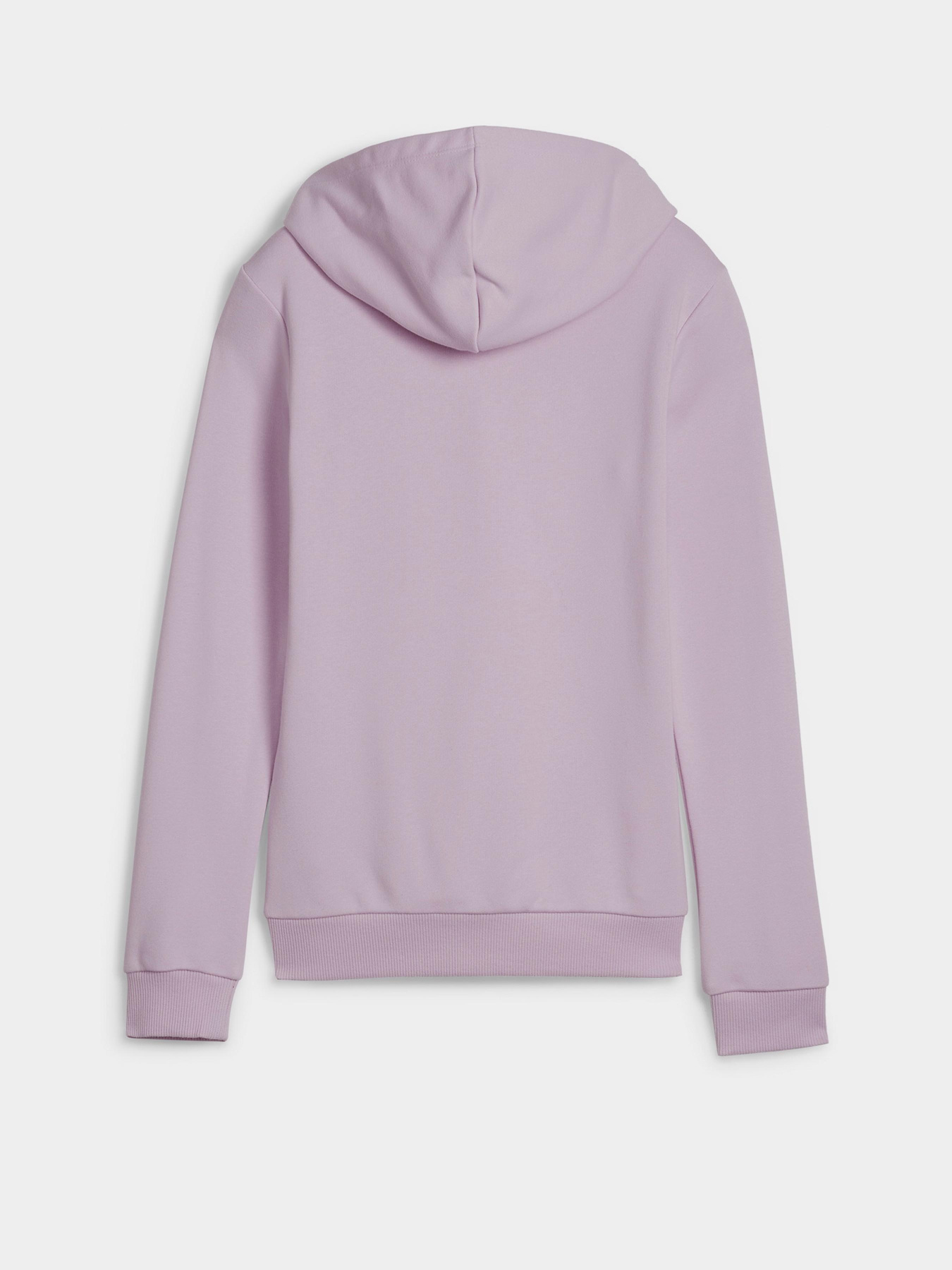 Худі та світшоти PUMA ESSENTIALS LOGO модель 58703060 Фото