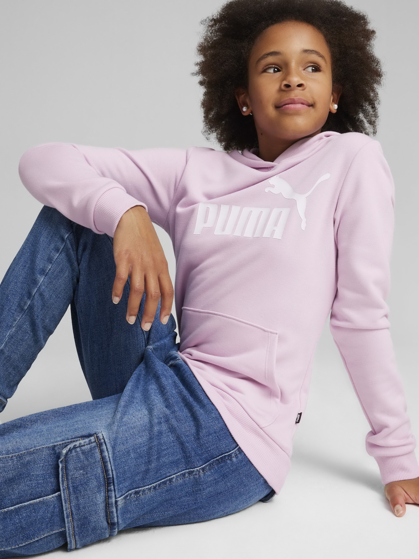Худі та світшоти PUMA ESSENTIALS LOGO модель 58703060 Фото