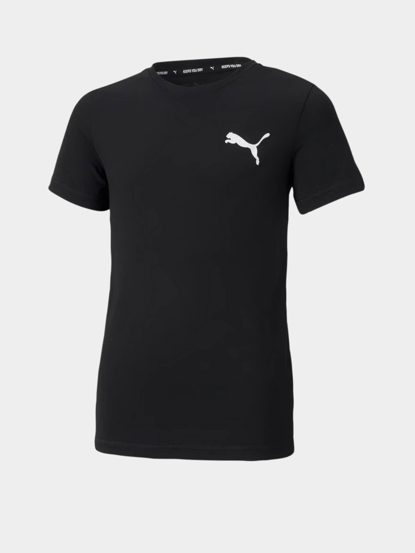 Футболки і поло PUMA ACTIVE SMALL LOGO модель 58698001 Футболки і поло PUMA ACTIVE SMALL LOGO модель 58698001 Фото