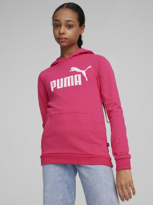 Худи и свитшоты PUMA ESSENTIALS LOGO модель 58703048 Фото