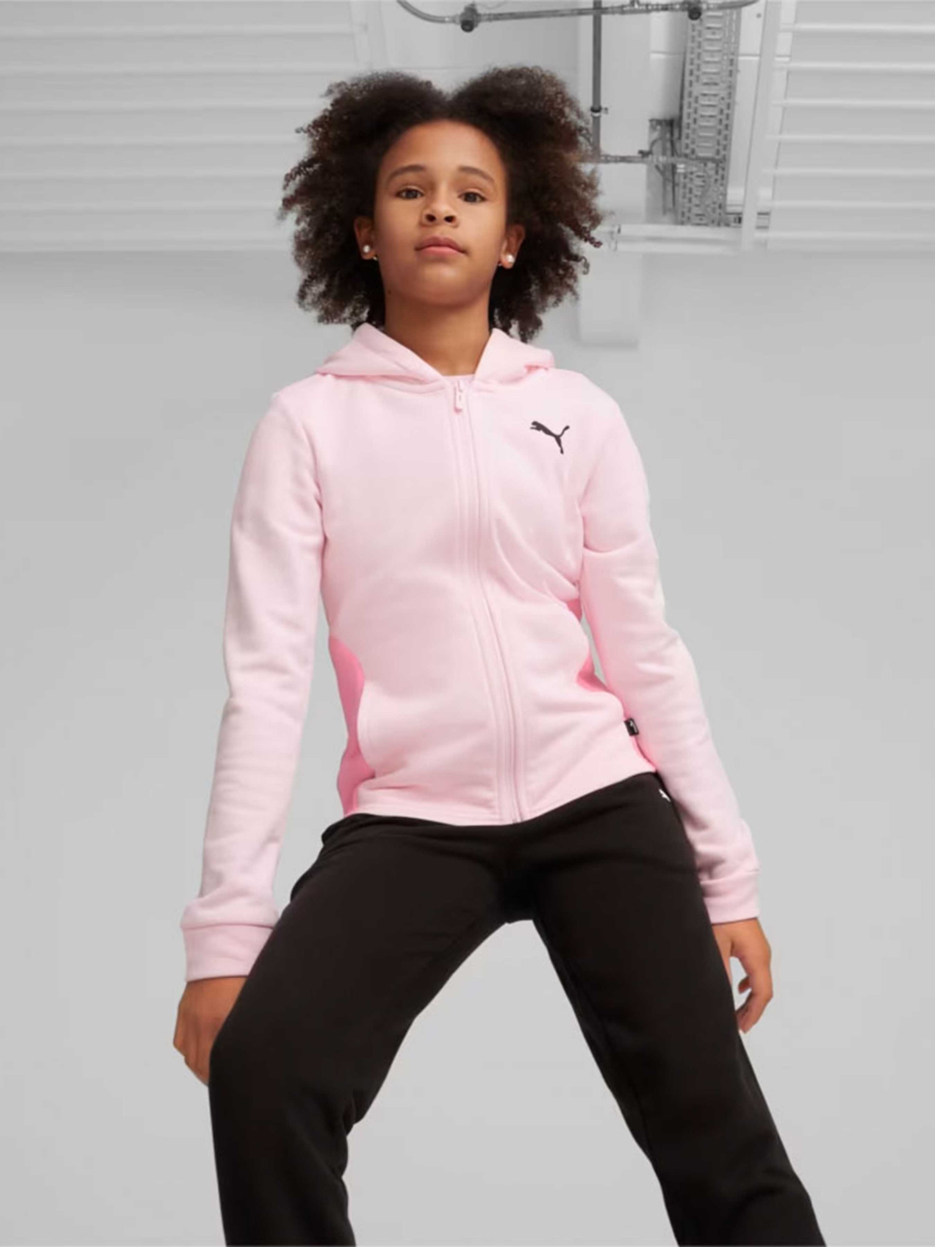 Костюмы PUMA HOODED SWEAT SUIT модель 67358667 Фото