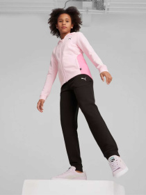 Костюмы PUMA HOODED SWEAT SUIT модель 67358667 Фото