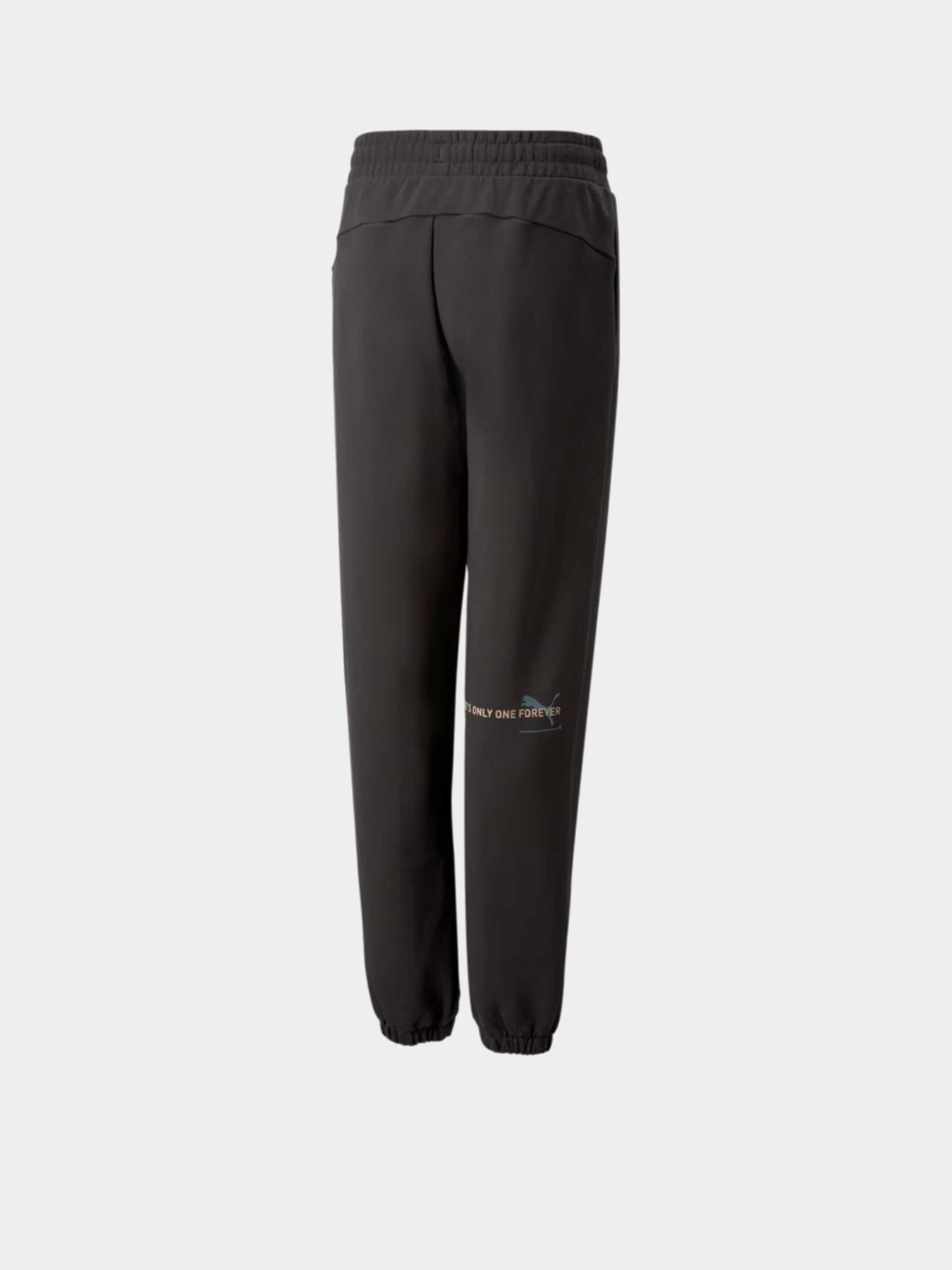 Брюки PUMA ESSENTIALS BETTER модель 67365775 Фото