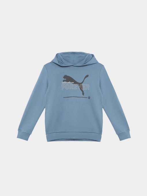 Худи и свитшоты PUMA ESSENTIALS BETTER ADOLESCENT модель 67365917 Фото