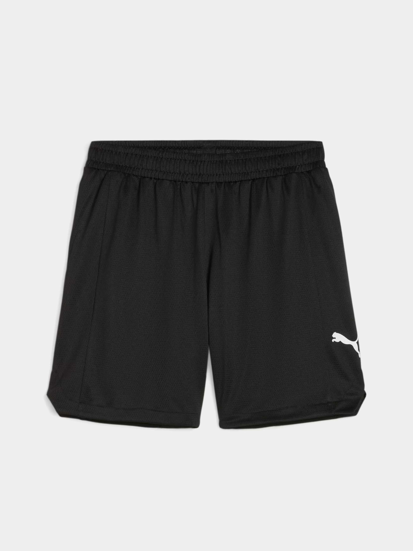 Шорты PUMA BLUEPRINT BASKETBALL модель 67998301 Фото