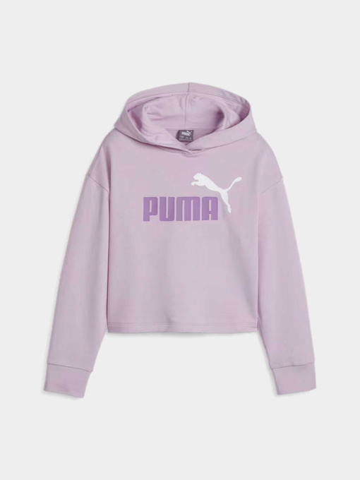 Худи и свитшоты PUMA ESS+ 2COL модель 68099360 Фото