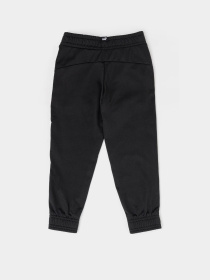 Костюмы PUMA BASEBALL POLY модель 67967001 Фото