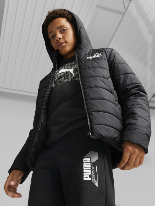 Куртки и дубленки PUMA ESSENTIALS PADDED модель 67055901 Фото
