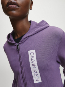 Худі та світшоти Calvin Klein модель 00GWT0J460-510 Фото