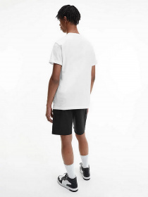 Футболки і поло Calvin Klein модель J30J320199_BEH Фото