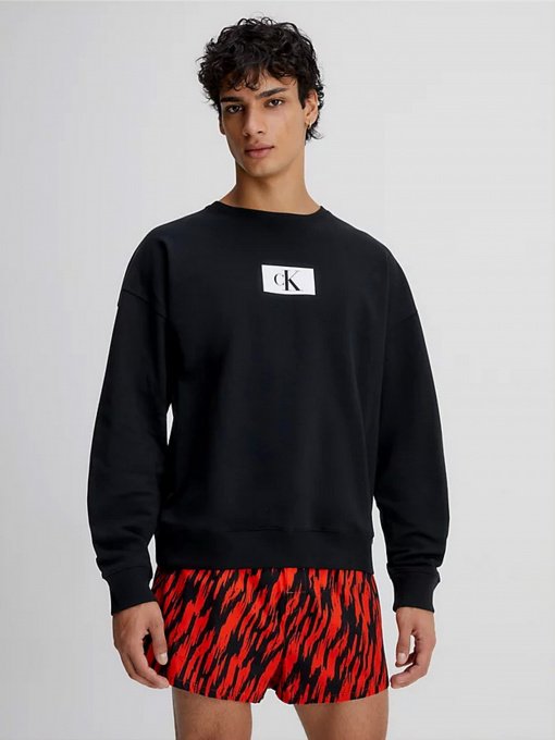 Худи и свитшоты Calvin Klein Underwear Ck96 модель 000NM2415E-UB1 Фото