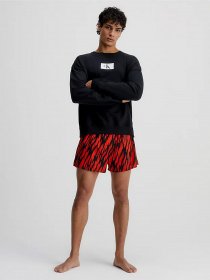 Худи и свитшоты Calvin Klein Underwear Ck96 модель 000NM2415E-UB1 Фото