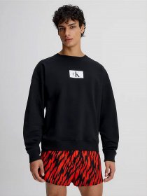 Худи и свитшоты Calvin Klein Underwear Ck96 модель 000NM2415E-UB1 Фото