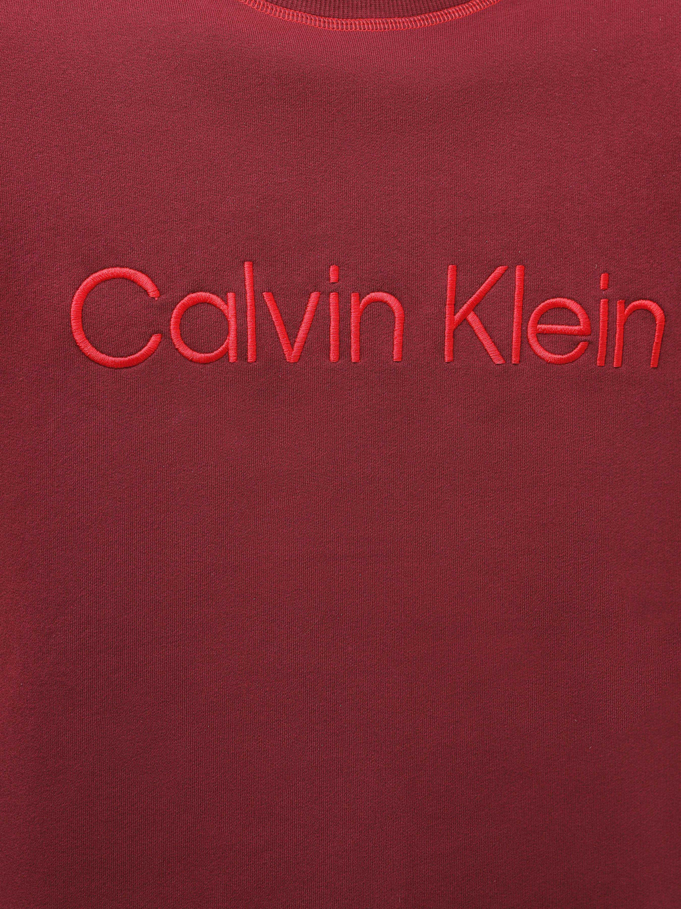 Худи и свитшоты Calvin Klein Underwear Ls Sweatshirt модель 000NM2458E-GEX Фото