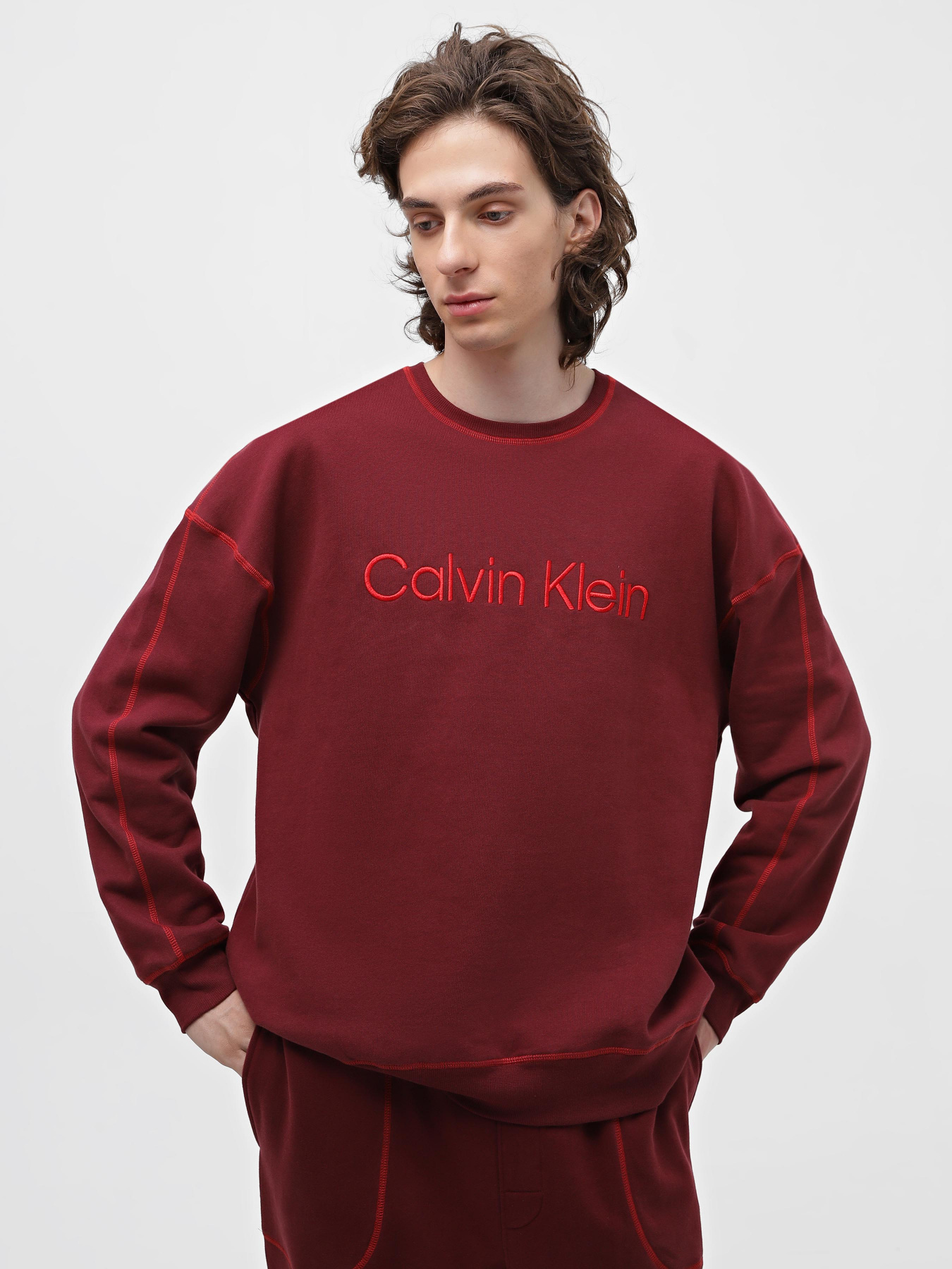 Худи и свитшоты Calvin Klein Underwear Ls Sweatshirt модель 000NM2458E-GEX Фото