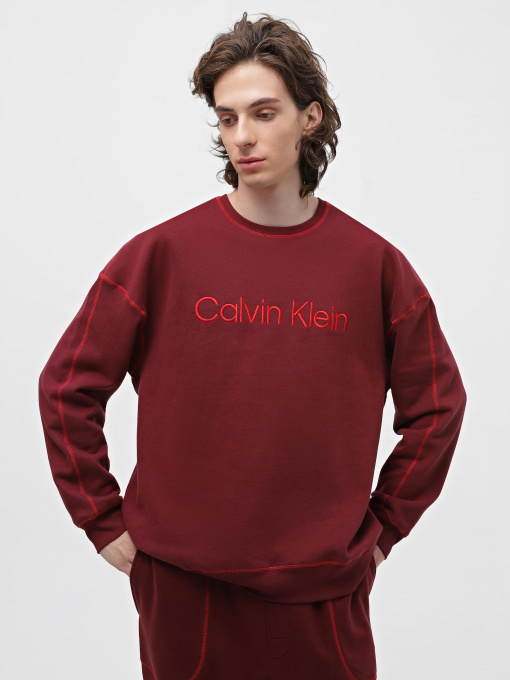 Худи и свитшоты Calvin Klein Underwear Ls Sweatshirt модель 000NM2458E-GEX Фото
