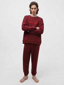 Худи и свитшоты Calvin Klein Underwear Ls Sweatshirt модель 000NM2458E-GEX Фото