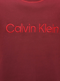 Худи и свитшоты Calvin Klein Underwear Ls Sweatshirt модель 000NM2458E-GEX Фото