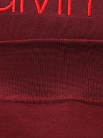 Худи и свитшоты Calvin Klein Underwear Ls Sweatshirt модель 000NM2458E-GEX Фото
