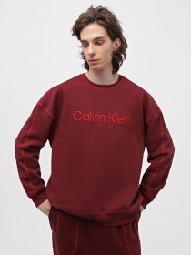 Худи и свитшоты Calvin Klein Underwear Ls Sweatshirt модель 000NM2458E-GEX Фото