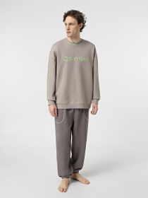 Худи и свитшоты Calvin Klein Underwear Ls Sweatshirt модель 000NM2458E-PET Фото