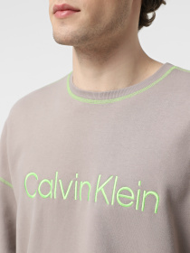 Худи и свитшоты Calvin Klein Underwear Ls Sweatshirt модель 000NM2458E-PET Фото