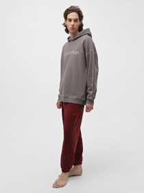 Худи и свитшоты Calvin Klein Underwear L S Hoodie модель 000NM2484E-PA7 Фото