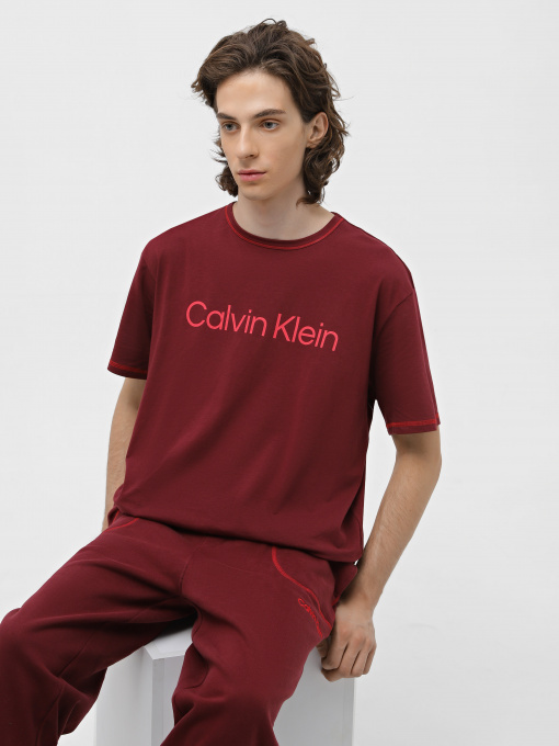 Футболки і поло Calvin Klein Underwear Short Sleeve T-Shirt модель 000NM2456E-GEX Фото