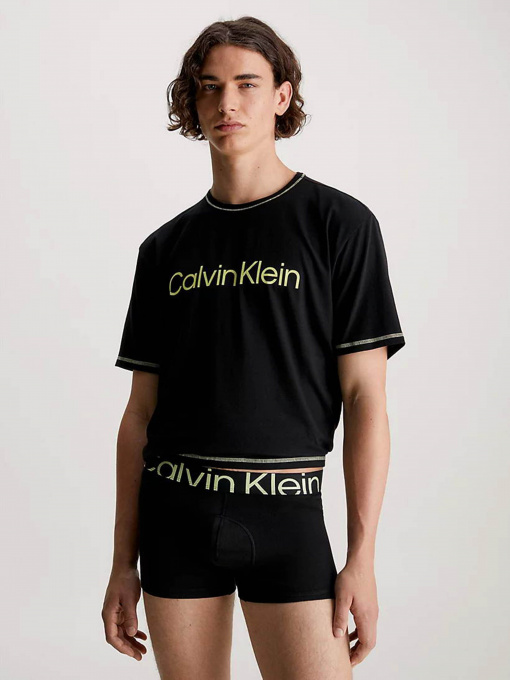 Футболки и поло Calvin Klein Underwear Motion Logo Modern Comfort Short Sleeve модель 000NM2456E-UB1 Фото