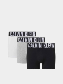Нижня білизна Calvin Klein Underwear Intense Power Ctn 3P модель 000NB3608A-MPI Фото