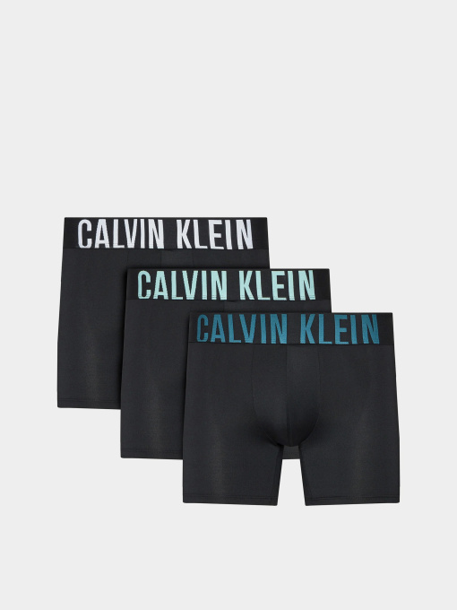 Нижнее белье Calvin Klein Underwear Intense Power модель 000NB3612A-Q1L Фото