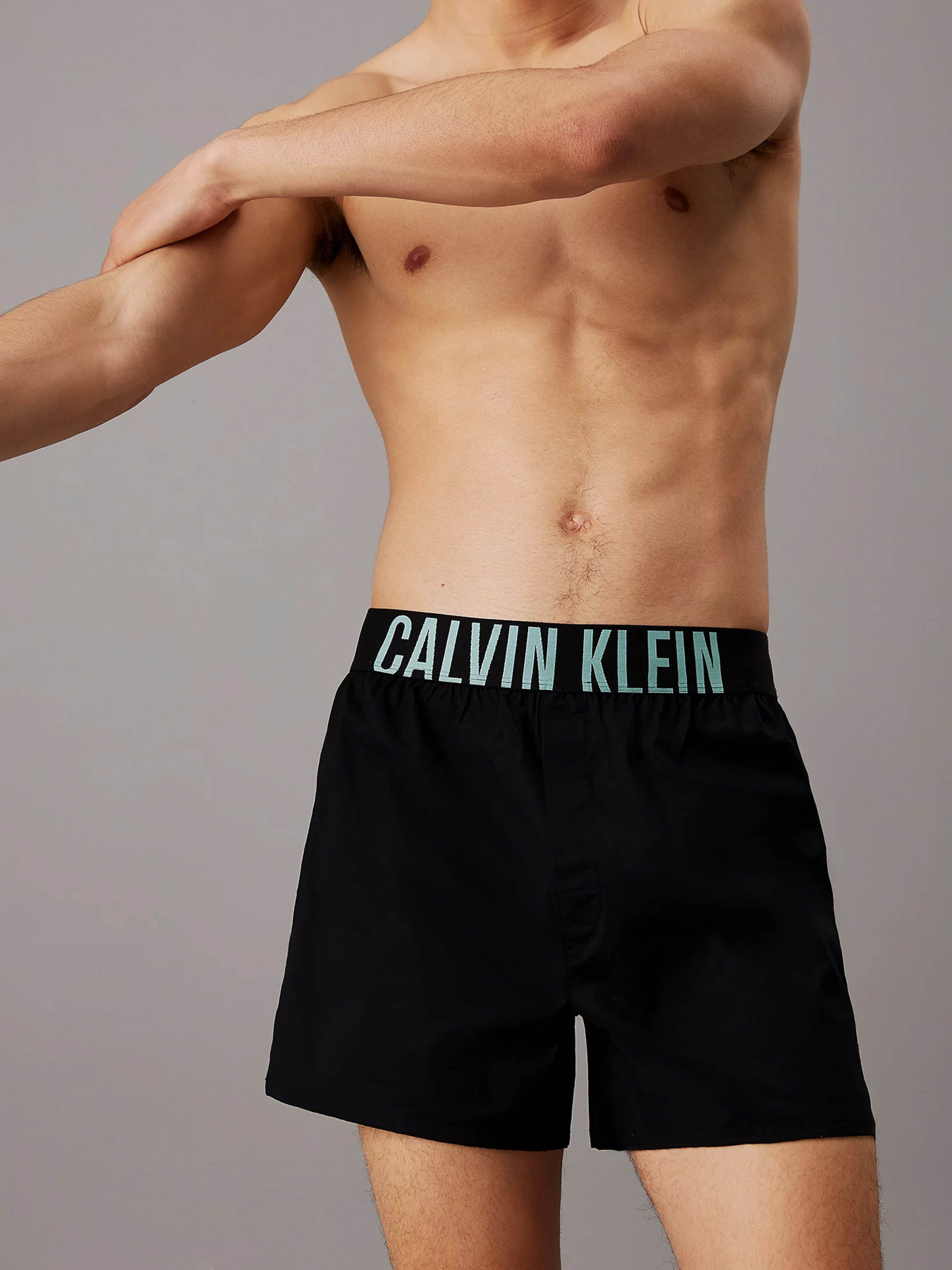 Нижнее белье Calvin Klein Underwear Intense Power модель 000NB3833A-QTL Фото