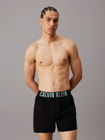 Нижнее белье Calvin Klein Underwear Intense Power модель 000NB3833A-QTL Фото