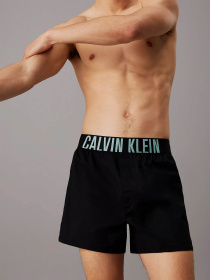 Нижнее белье Calvin Klein Underwear Intense Power модель 000NB3833A-QTL Фото