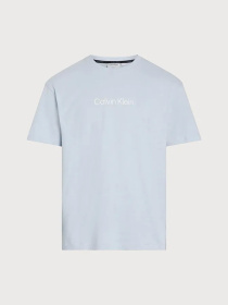 Футболки і поло Calvin Klein модель K10K111346-CGK Фото