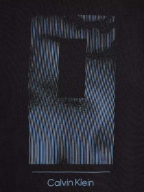 Футболки і поло Calvin Klein Vertical Lines Graphic модель K10K113588-BEH Фото